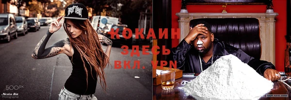 СК Аркадак