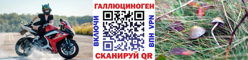Галлюциногенные грибы мицелий Юрьев-Польский