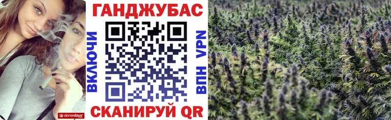 Каннабис OG Kush  Юрьев-Польский 